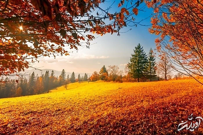 فصل پاییز